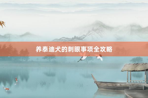 养泰迪犬的刺眼事项全攻略